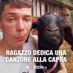 Скачать видео: Dedica canzoni alla sua capra: la reazione dell'animale