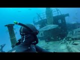 Man Dives Into Deep Water With Sharks and Visits Shipwreck