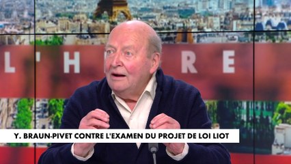 Dominique Jamet : «Si on retire à l'Assemblée le droit de voter et d'abroger la loi, que lui reste-t-il ?»