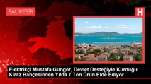 Elektrikçi Mustafa Güngör, Devlet Desteğiyle Kurduğu Kiraz Bahçesinden Yılda 7 Ton Ürün Elde Ediyor