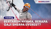 Berapa Gaji Sherpa Everest? Pekerjaan Ekstrem Rela Pertaruhkan Nyawa Demi Pendaki Gunung