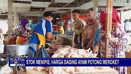 Tải video: Stok Menipis, Harga Daging Ayam Potong di Kabupaten Sumenep Meroket, Tembus Rp 40 Ribu/Kg