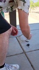 Thirsty Round Tailed Ground Squirrel Offered Water