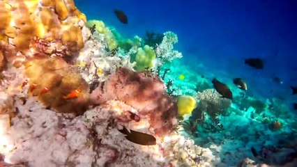 5 Islands That Are Slowly Sinking