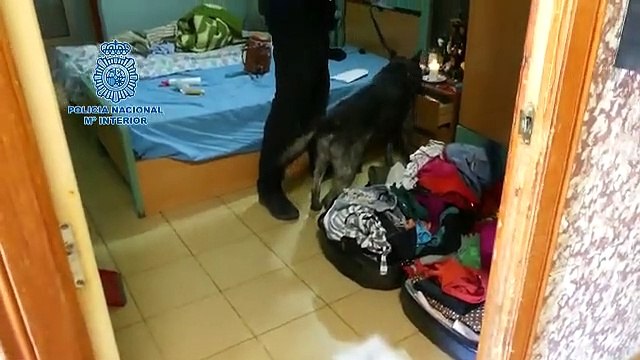 Liberadas cinco mujeres obligadas a prostituirse por una organización criminal en Cuenca