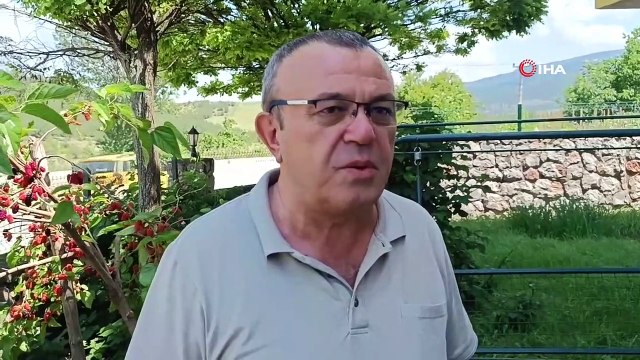 Les coeurs en papier accrochés au mûrier dans le jardin d'une maison chauffée