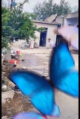 Most popular funny clips