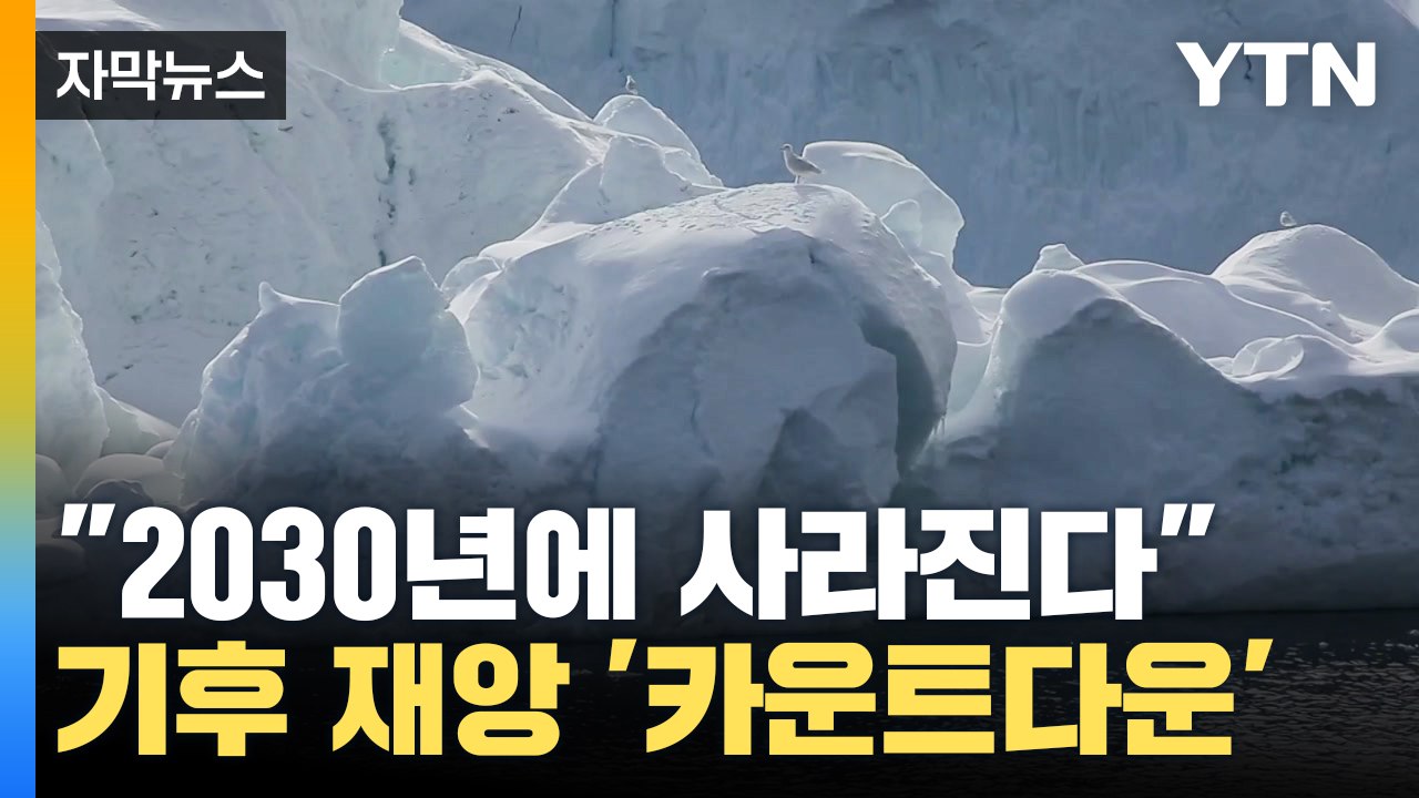 [자막뉴스] "북극 해빙, 모두 사라진다" 지구촌 역대급 재난 오나? / YTN