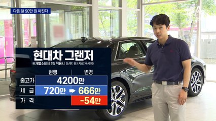 국산차 50만 원 싸진다…과세표준 18% 하향 조정