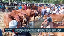 Penjualan Hewan Kurban di Pasar Hewan Mulai Meningkat Jelang Idul Adha