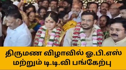 தஞ்சாவூர்: திருமண விழாவில் ஓ‌.பி.எஸ் மற்றும் டி.டி.வி பங்கேற்பு!