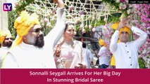 Sonnalli Seygall Ties The Knot With Ashesh Sajnani! Pyaar Ka Punchnama Co-Stars Sunny Singh, Kartik Aaryan And Others Attend Wedding