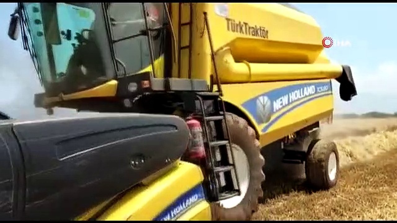 Osmaniye'de Buğday Fiyatı ve Verimi Çiftçileri Sevindirdi