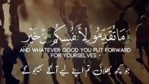 quran urdu whatsapp status _ urdu whatsapp status _ urdu islamic whatsapp status (13)