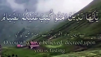 Quran Urdu Whatsapp Status _ Urdu Whatsapp Status _ Urdu Islamic Whatsapp Status