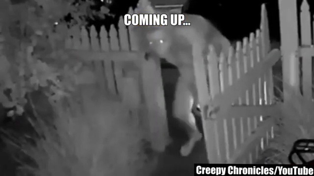 30 Scary Videos Caught on Doorbell Camera