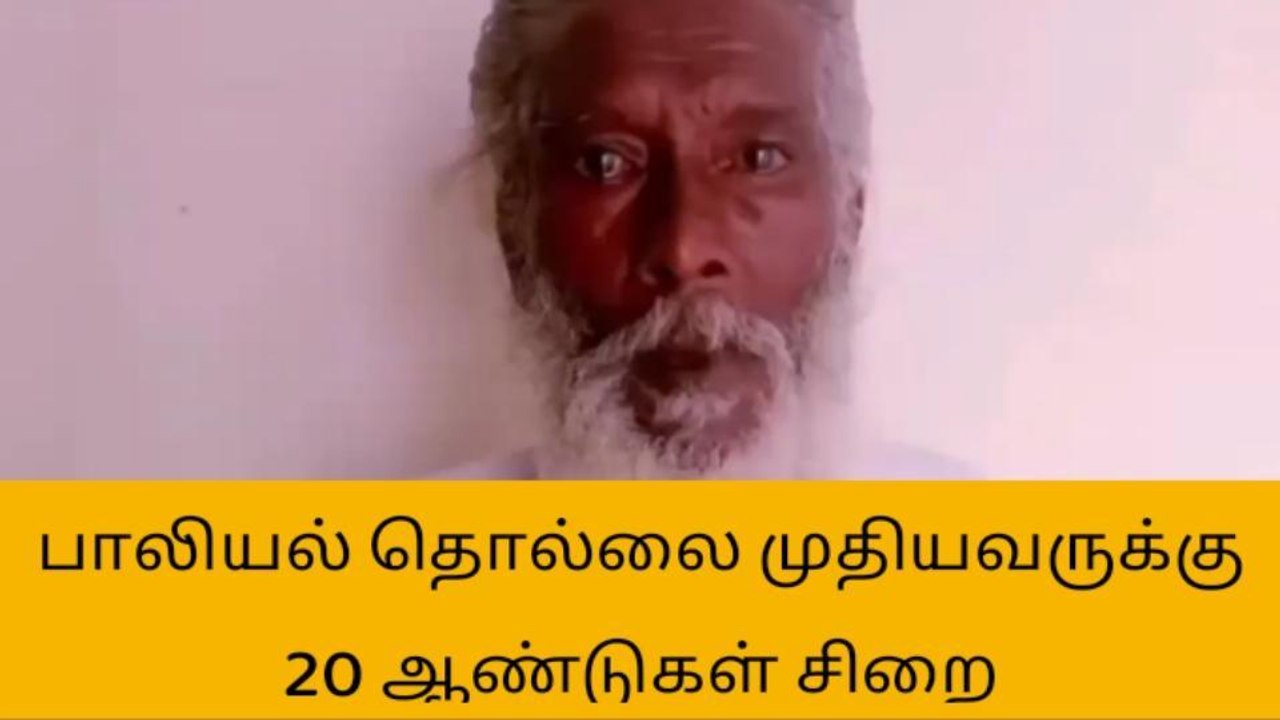 சிறுமிகளுக்கு பாலியல் தொல்லை -முதியவருக்கு 20 ஆ...