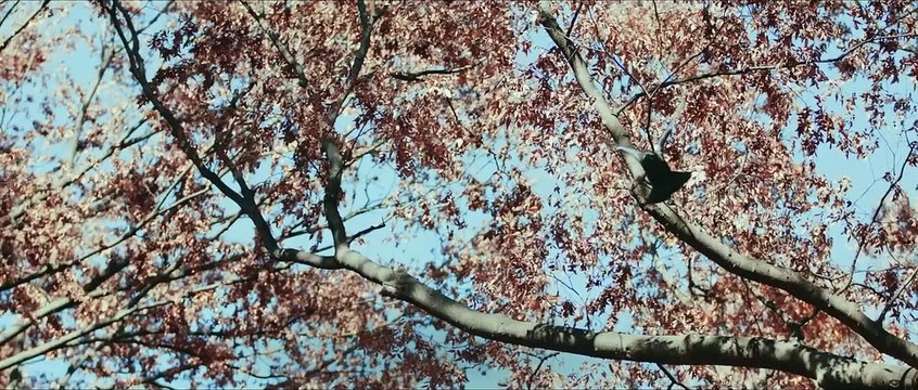 Hideo Kojima : Connecting Worlds Bande-annonce VO