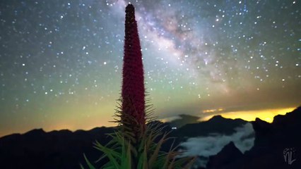 Milky Way timelapse compilation - relaxation