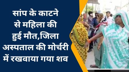 बरेली: घर में सो रही महिला को सांप ने काटा, इलाज के दौरान मौत