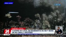 3 suspek na ilegal na nagbebenta ng iba’t ibang uri ng corals, arestado | 24 Oras