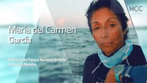 Reporte Climático 97 | Conservar en comunidad: las lecciones de Puerto Morelos