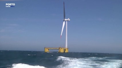 Parque eólico de Leixões preocupa autarcas pelo impacto na pesca e na paisagem