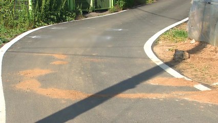 어린이 교통사고 발생 1위 '이면도로'..."안전 의식 높여야" / YTN