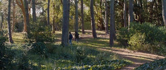 "Sublime" / Trailer con subtítulos