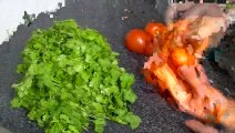 HOW TO FREEZE CORIANDER & TOMATO COOK