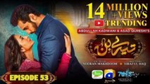 Tere Bin Ep 53 Full Digitally Presented by Jhalak Beauty Cream | Yumna zaidi and Wahaj ali | Har Pal Geo