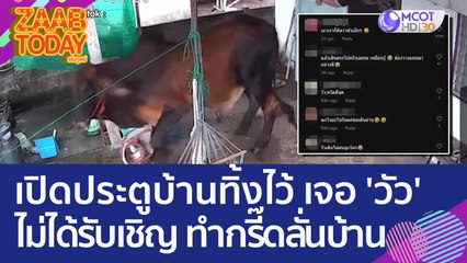 อุทาหรณ์! เปิดประตูบ้านทิ้งไว้ เจอ 'วัว' ไม่ได้รับเชิญ ทำกรี๊ดลั่นบ้าน (7 มิ.ย. 66) แซ่บทูเดย์