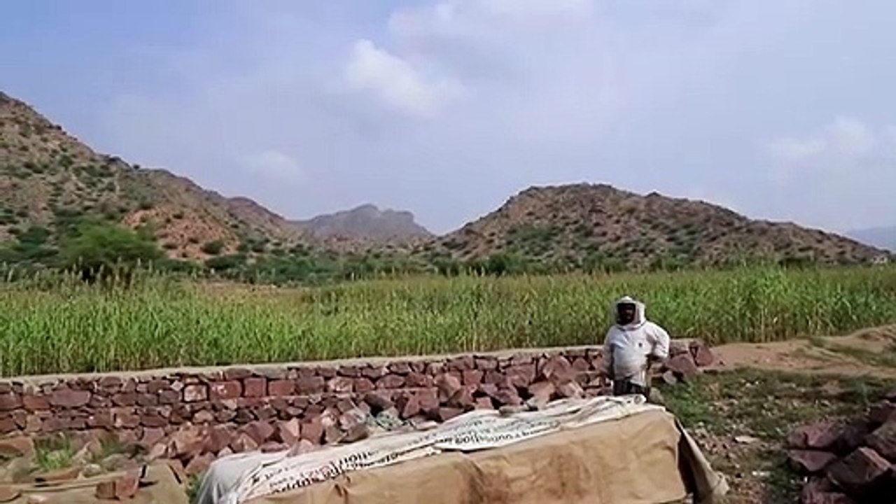 The Yemeni man who likes to get very close to bees