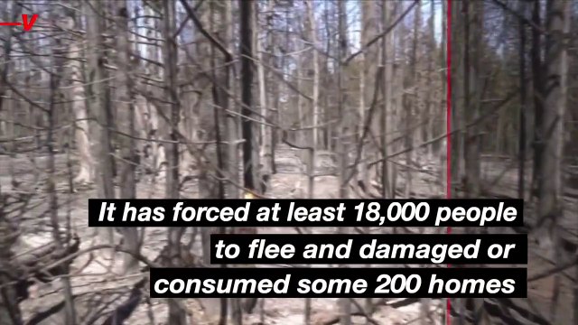 Must See! Canada’s Wildfire Smoke Crosses Borders, Blankets NYC In Thick and ‘Unhealthy’ Haze