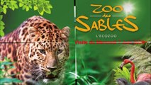 Visite au Zoo des Sables D ' Olonne ( Vendée ) , Mercredi 7 Juin 2023