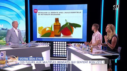 Votre bien-être : Ces fleurs aux multiples bienfaits qui sentent bon l'été !