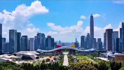 prof. Dr. Peace Doster ： La vision de la Chine de construire une communauté mondiale de la santé reflète la forte capacité de l'État