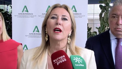 Video herunterladen: El empresariado andaluz se incorpora a los órganos de decisión de Andalucía Trade