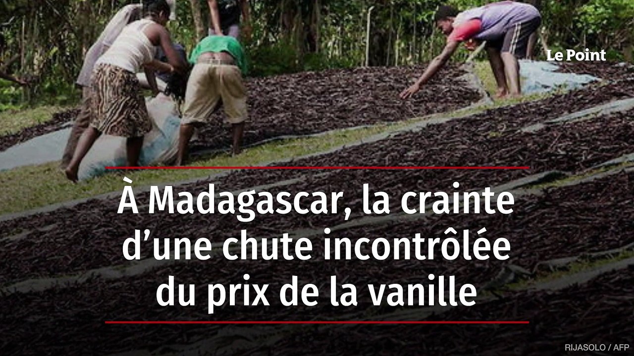 À Madagascar, la crainte d’une chute incontrôlée du prix de la vanille