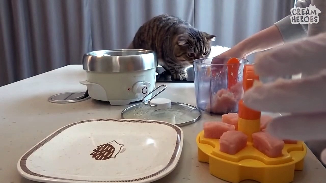 What is this food?