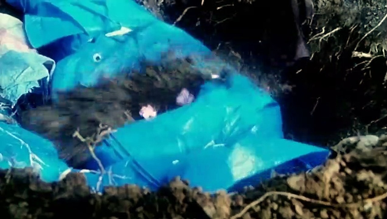 The Happiness Of The Katakuris Trailer OmeU