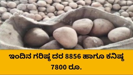 ತಿಪಟೂರು : ಇಂದಿನ ಕೊಬ್ಬರಿ ಧಾರಣೆ ಎಷ್ಟಿದೆ ತಿಳಿಯಿರಿ