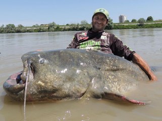 Homem pesca bagre de 2,85 metros na itália; veja vídeo