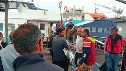 RTP Telegiornale 7 giugno 2023