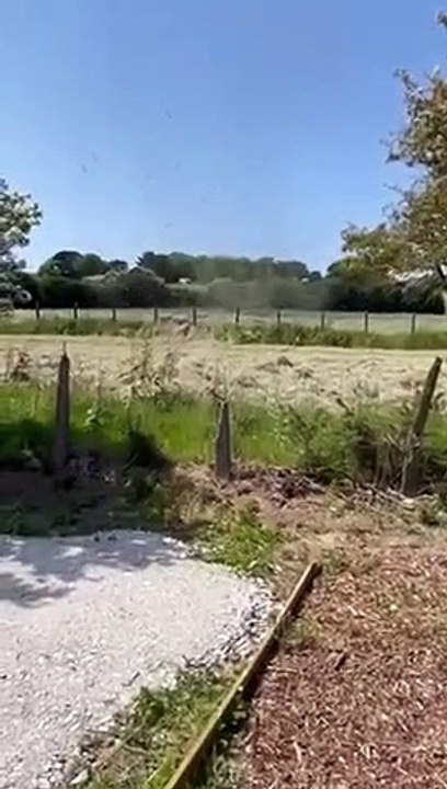 Dust Devil in Delabole