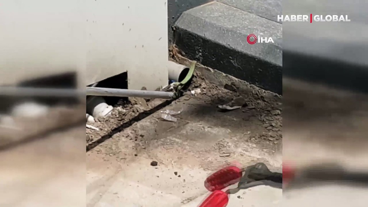İstasyona giren yılanı deliğinden çıkardığı anlar gündem oldu