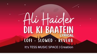Dil Ki Baatein -Ali Haider ( Lofi - Slowed - Reverb) Lyrical