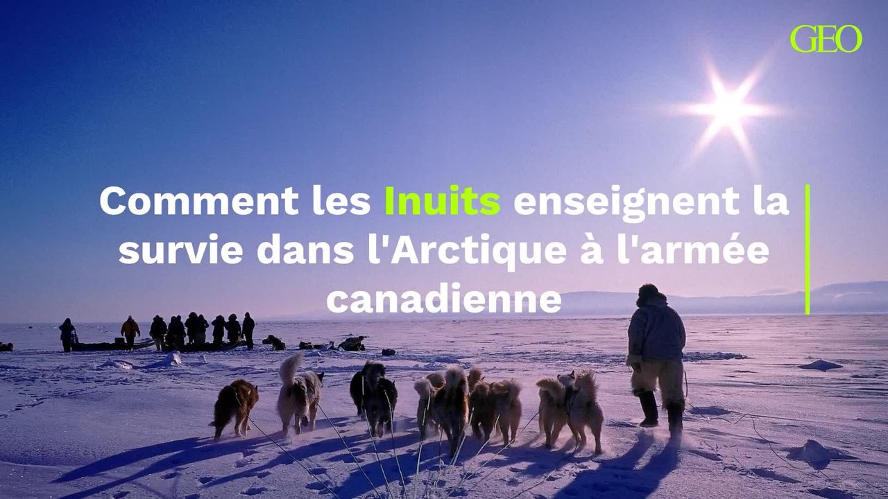 Comment les Inuits enseignent la survie dans l'Arctique à l'armée canadienne