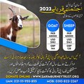 Eid ul Adha 2023 || Sarim Burney Trust Online Qurbani Booking