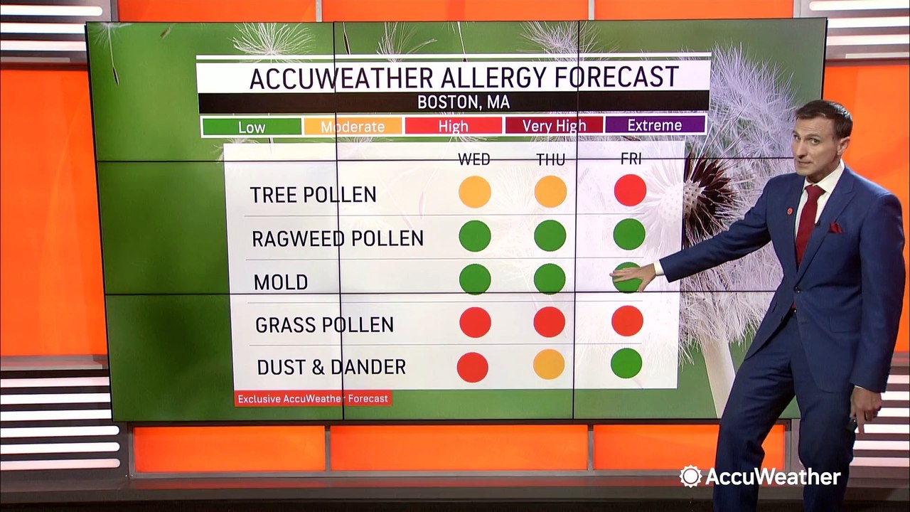 Here's your allergy outlook for June 7 video Dailymotion